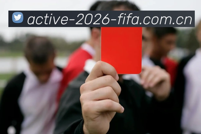FIFA官方数据授权认证